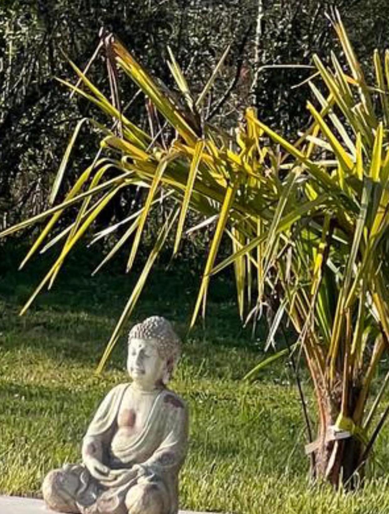 Chambre Au Jardin Tente De Charme Eguzon-Chantome Ngoại thất bức ảnh